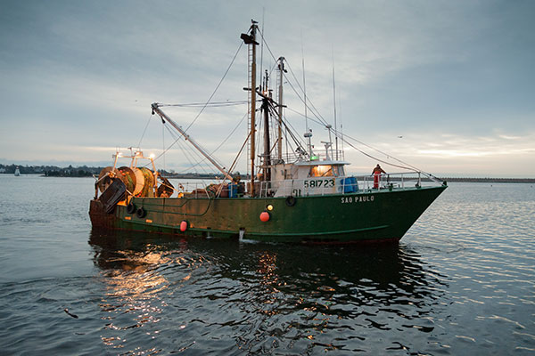 A long haul - 100 years of fishing at Port