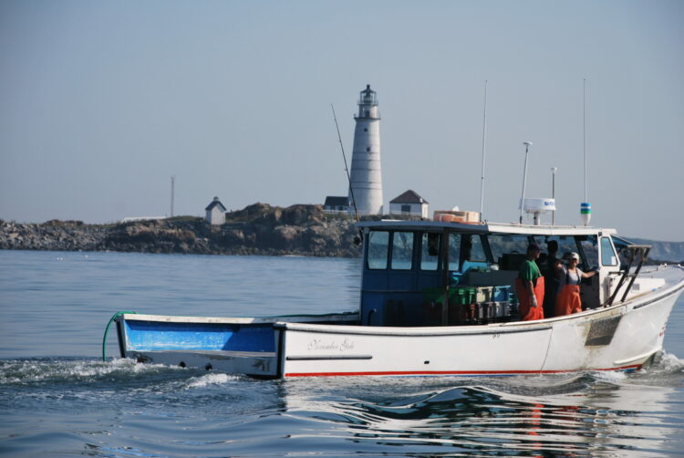Boston Harbor Lobster Boat Tour