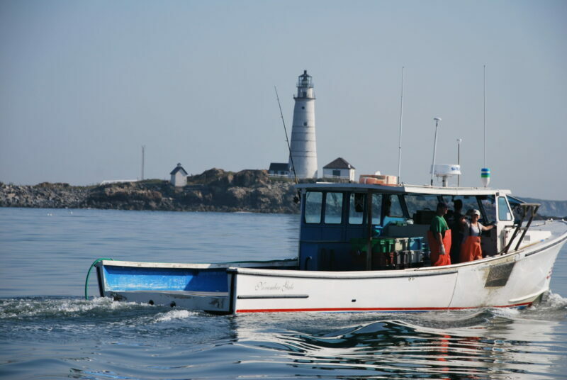 Boston Harbor Lobster Cruise And Lunch For Six